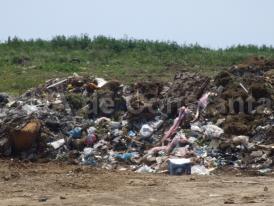 S-a înfiinţat Comitetul Naţional pentru Deşeuri. Ce rost are şi cine intră în componenţa sa. Decizia este semnată de premierul Dăncilă 