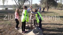 Acțiunea Constanța Restart, prin proiectul „Plantăm 100 de copaci în Tăbăcărie! Pentru 100 de ani de România“, un real succes (galerie foto)