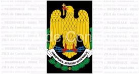 MApN Activități dedicate Zilei Naționale a României 