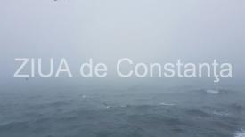 Pasăre de Foc este iubirea...  - Irina Lucia MIHALCA