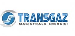 Economica.net Transgaz a scos la licitaţie lucrările pentru infrastructura de export de gaze din Dobrogea