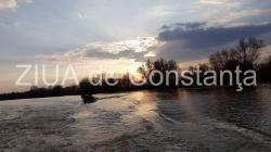 Poezia zilei Peregrinul  -  Irina Lucia Mihalca