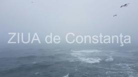 Poezia zilei   Memoriile ferestrei -  Irina Lucia Mihalca