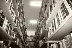 „Pentru omul normal, masca e un mijloc de adaptare, pentru decadent, inadaptabil prin definiție, masca e o mărturisire plastică a ființei posedate de frumos“. Mateiu Caragiale