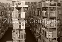 Ileana Mălăncioiu, poeta care a scris, în versuri, despre dreptate