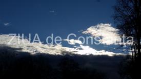 centrulnatura.ro Anul 2019 înaintează cu viteza unei locomotive