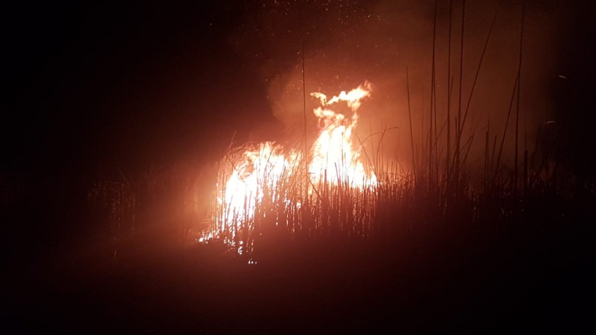 incendiu in zona vararie balta din municipiul tulcea pompierii isu delta intervin penrtu stingerea flacarilor