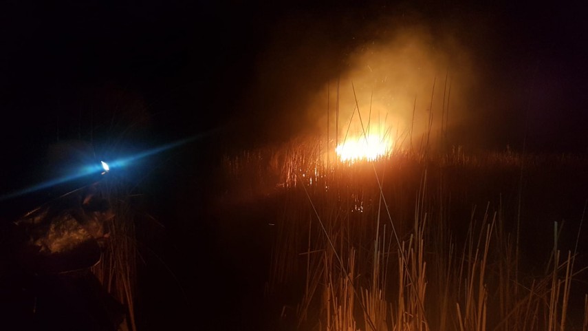 incendiu in zona vararie balta din municipiul tulcea pompierii isu delta intervin penrtu stingerea flacarilor