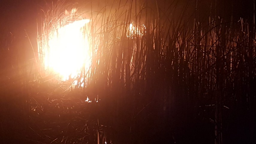 incendiu in zona vararie balta din municipiul tulcea pompierii isu delta intervin penrtu stingerea flacarilor