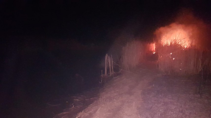 incendiu in zona vararie balta din municipiul tulcea pompierii isu delta intervin penrtu stingerea flacarilor