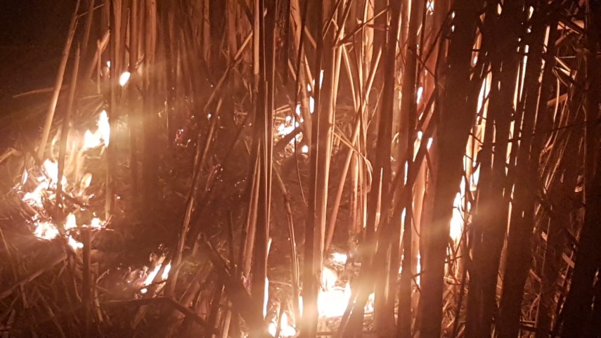 incendiu in zona vararie balta din municipiul tulcea pompierii isu delta intervin penrtu stingerea flacarilor
