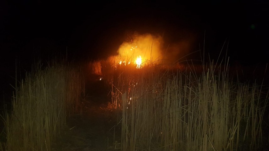 incendiu in zona vararie balta din municipiul tulcea pompierii isu delta intervin penrtu stingerea flacarilor