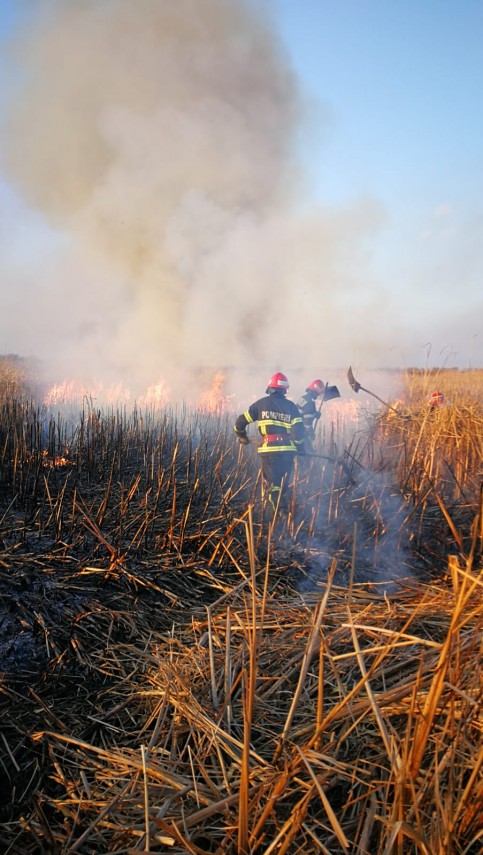incendiu de amploare in judetul tulcea sute de hectare de vegetatie afectate pompierii chemati in ajutor
