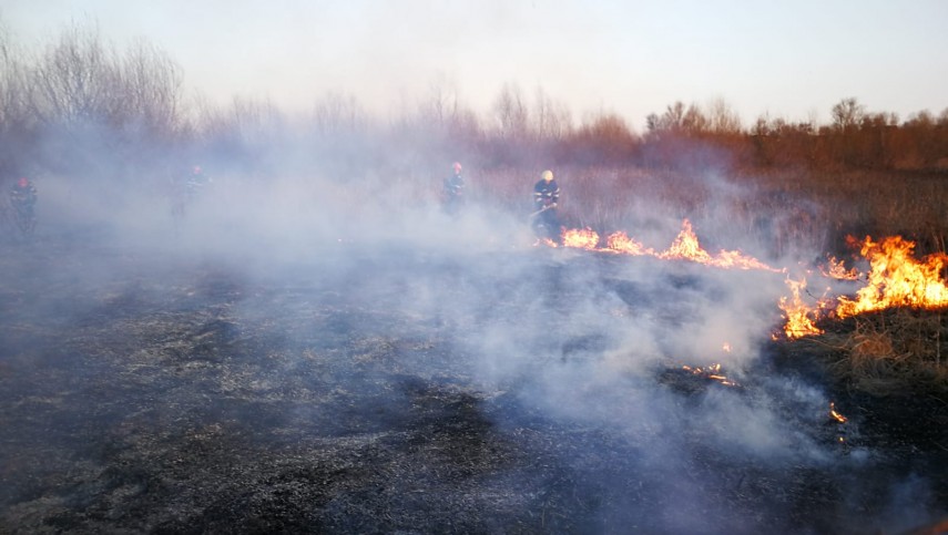 incendiu de amploare in judetul tulcea sute de hectare de vegetatie afectate pompierii chemati in ajutor