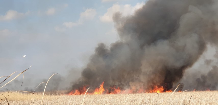 incendiu de amploare in judetul tulcea sute de hectare de vegetatie afectate pompierii chemati in ajutor