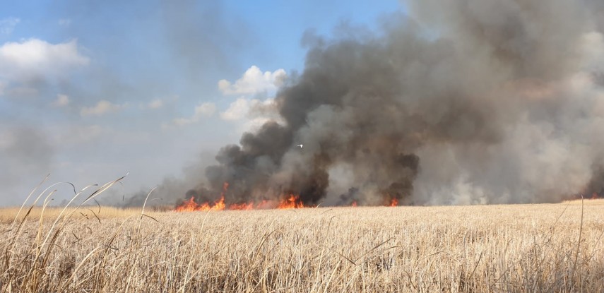incendiu de amploare in judetul tulcea sute de hectare de vegetatie afectate pompierii chemati in ajutor