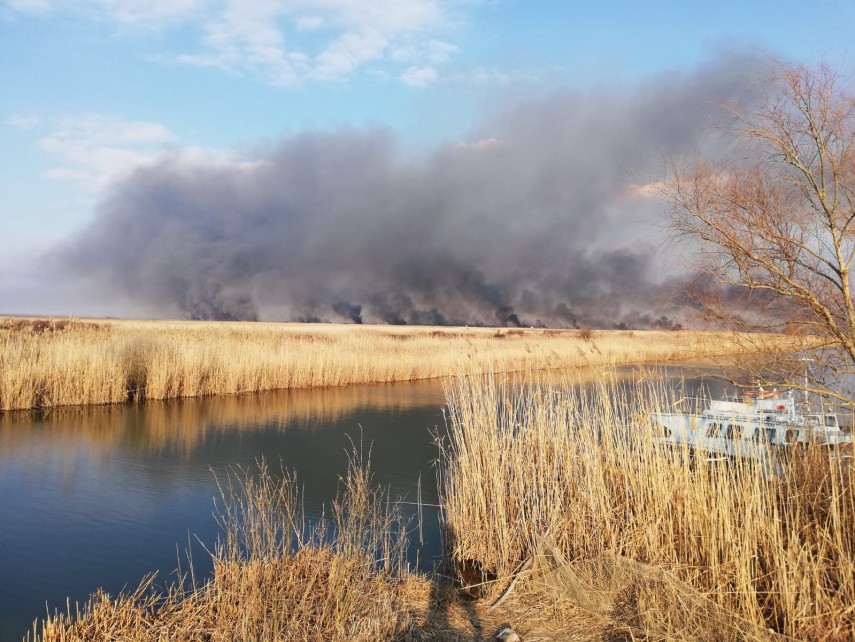 incendiu de amploare in judetul tulcea sute de hectare de vegetatie afectate pompierii chemati in ajutor