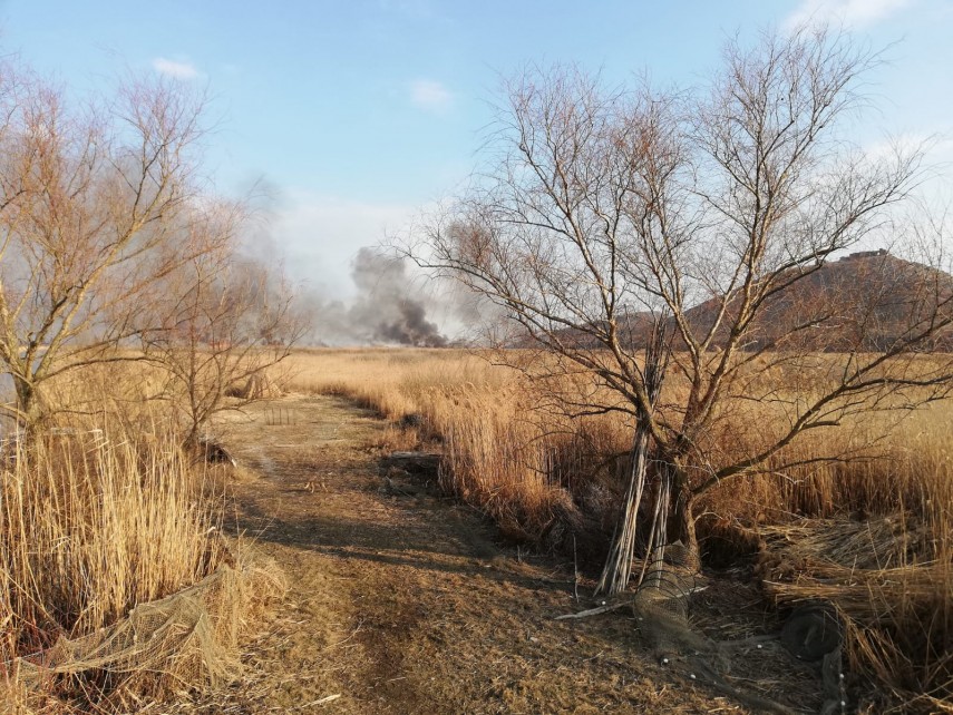 incendiu de amploare in judetul tulcea sute de hectare de vegetatie afectate pompierii chemati in ajutor
