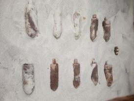 Proiectile din Al Doilea Război Mondial, descoperite într-o pădure