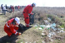 Plaja Corbu, ecologizată de angajaţii Rompetrol Rafinare (galerie foto)