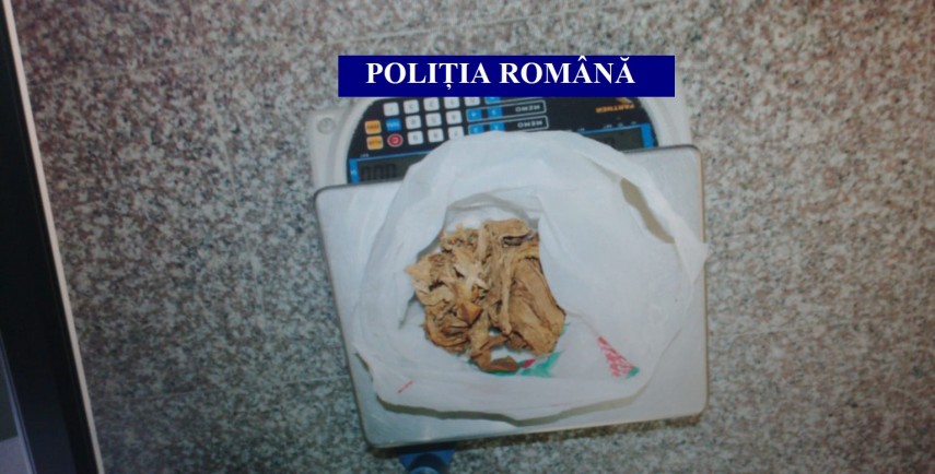 perchezitii in mai multe judete printre care si constanta vizate persoane banuite de afaceri ilegale