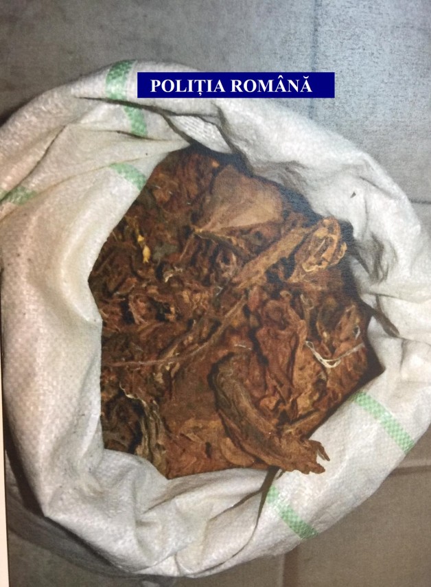 perchezitii in mai multe judete printre care si constanta vizate persoane banuite de afaceri ilegale