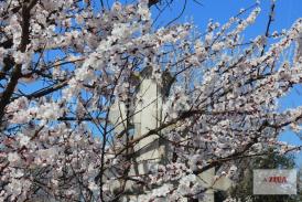 Decese Constanţa 5 aprilie 2019