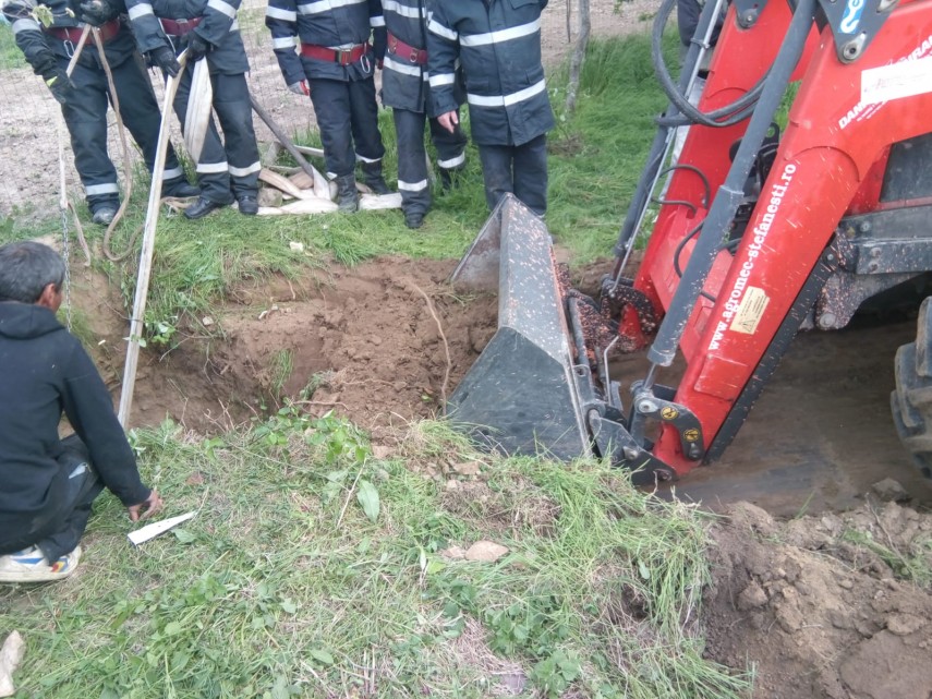 operatiune de salvare a unui cal in judetul tulcea cum s a finalizat galerie foto 690505
