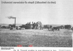 Agricultura şi creşterea animalelor în Dobrogea anului 1941 (I) 