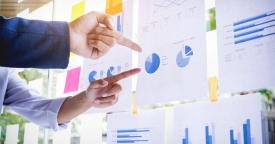 Analiza Termene.ro A \