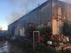 Brutărie din Tuzla, distrusă în totalitate de un incendiu. Cui aparţinea afacerea şi ce spune proprietarul despre nefericitul eveniment (galerie foto)