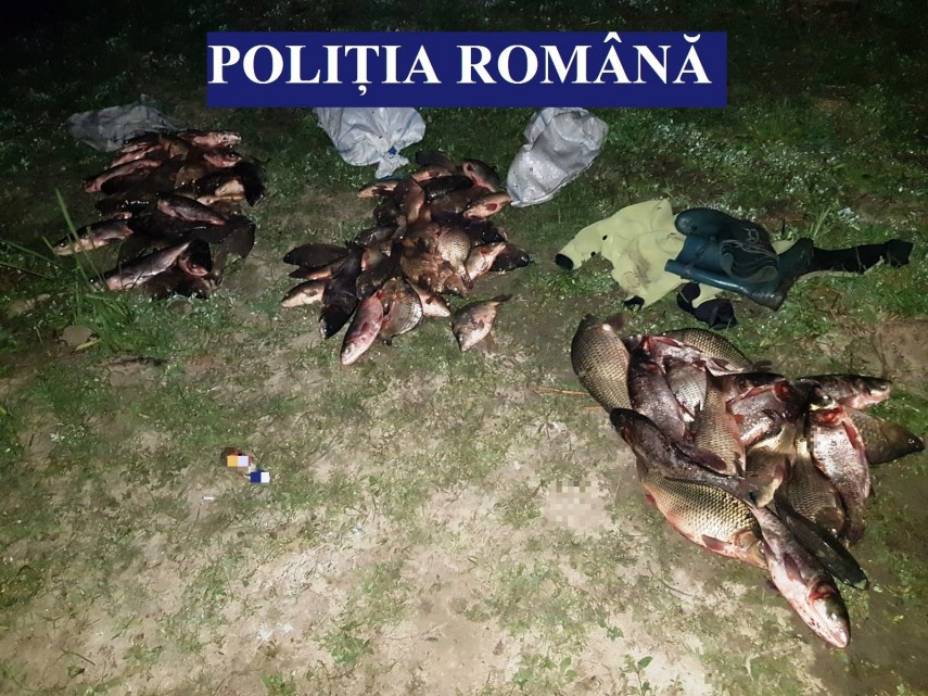 judetul constanta persoane prinse in flagrant in timp ce sustrageau peste 140 de kilograme de peste dintr judetul constanta persoane prinse in flagrant in timp ce sustrageau peste 140 de kilograme de peste dintr