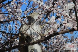 Decese Constanţa 2 mai 2019