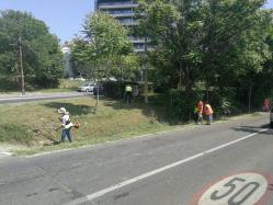 Acțiuni de salubrizare stradală, în municipiul Constanța