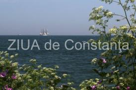 centrulnatura.ro Sărbătorim viața  