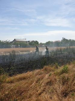   Alertă la pompierii constănţeni Incendiu pe o stradă din Valu lui Traian (galerie foto)