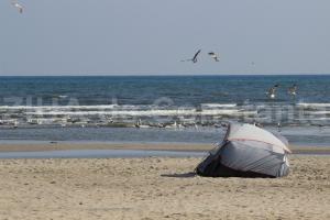 Meteo Prognoza meteo pentru Dobrogea, în următoarele două săptămâni