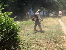 Continuă acțiunile de igienizare a spațiilor verzi în municipiul Constanța
