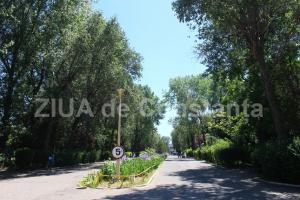 Constănţeanul supărat  Un grup de sportivi cer permisiunea şi sprijinul autorităţilor pentru reabilitarea parcului de la Palatul Copiilor