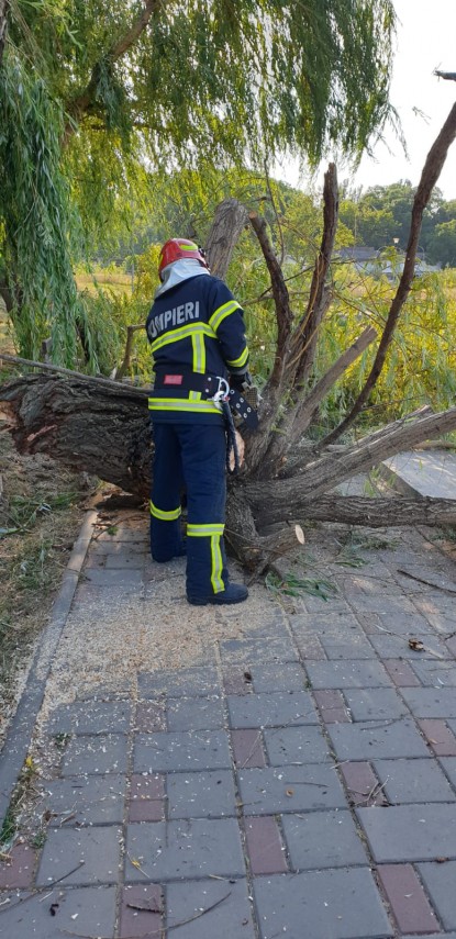 interventie de urgenta la tulcea o femeie a fost ranita de o creanga cazuta din copac pe banca pe care