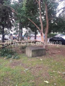 Constanța Copaci rupți de furtună, în parcul de la Primărie (galerie foto+video)   