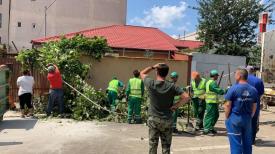 Primăria Constanța „Echipele acționează în permanență pentru a remedia toate problemele cauzate de vântul puternic” (galerie foto) 