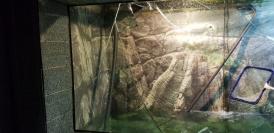 Alertă la Complexul Muzeal de Științe ale Naturii din Constanța. O persoană a fost rănită după ce un acvariu s-a spart (galerie foto + video)            