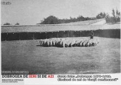 #DobrogeaAcademică Membru corespondent al Academiei Române, Nicolae Teodoreanu, creatorul rasei de ovine Merinos de Palas  