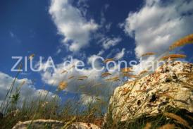 jobjogjoy.com Energia și atenția  