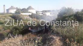 Incendiu de vegetație pe strada Micșunelelor din Constanța (galerie foto)  