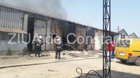 Incendiu La Un Depozit De Lemne Din Dulcești Județul Constanța