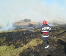 15 incendii de vegetaţie în 48 de ore. ISU Constanţa atenţionează