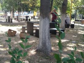 Constănţeanul supărat  „Agenţii de pază din parcul din Tomis II nu reacţionează la scandalagii, în schimb, stau pe Facebook în timpul programului!“