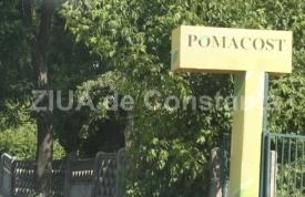 Pomacost, firma de casă a lui Mazăre, fondată de Basarab Popa, investeşte în imobiliare. Imobil de patru etaje, în Constanţa